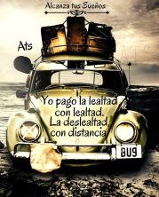 alcanza tus sueños.jpg